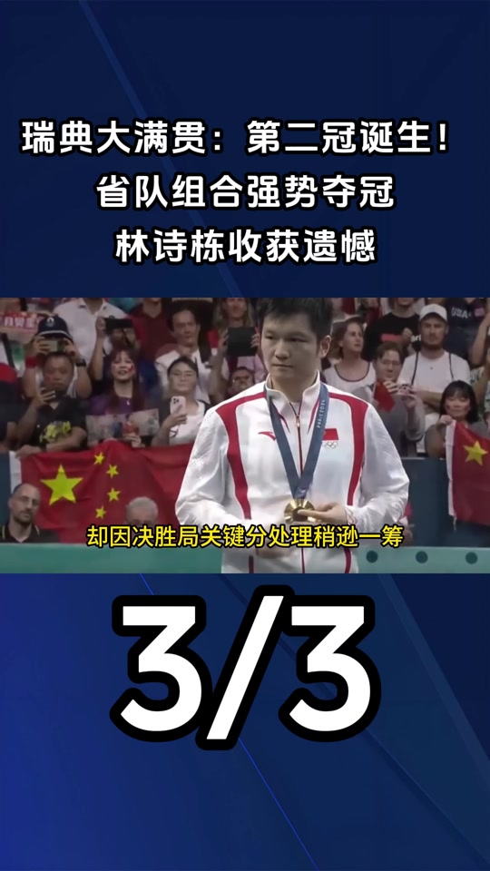 瑞典乒乓球队险胜德国乒乓球队，许昕送出助攻的简单介绍