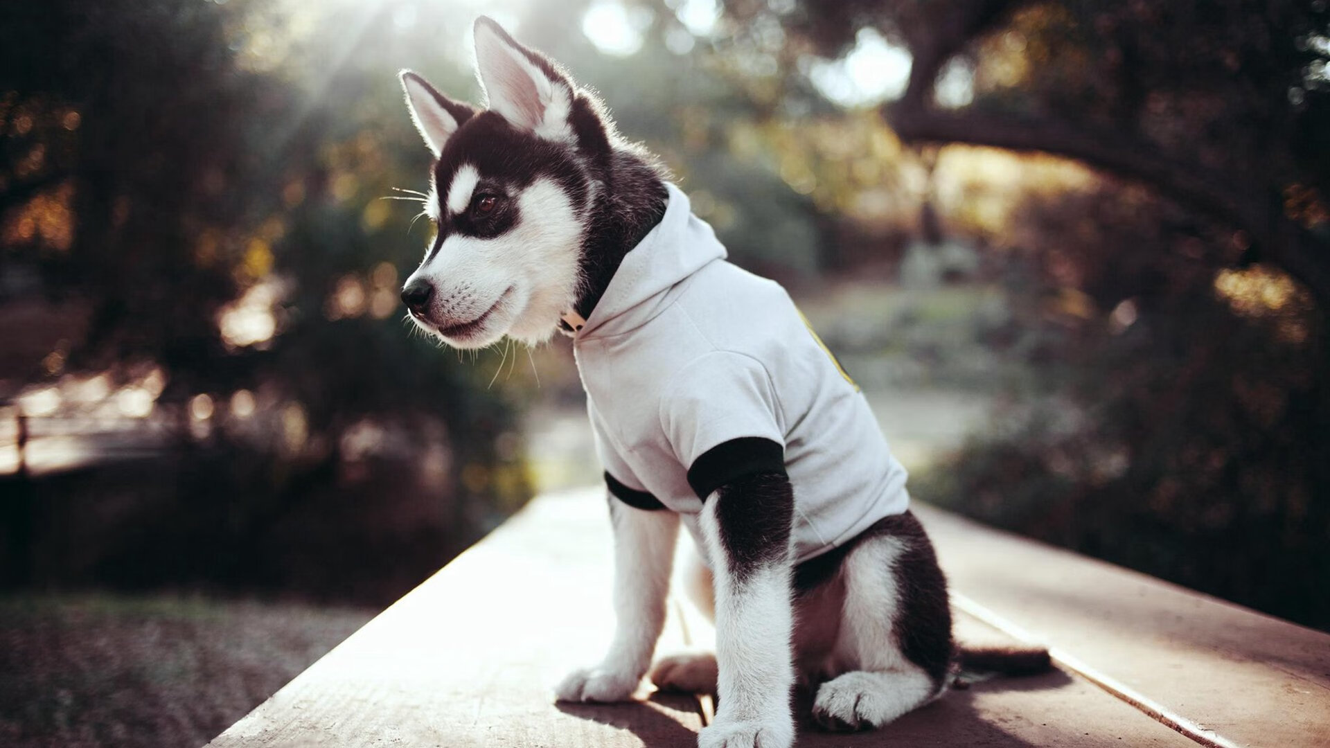 三分狂潮摧毁费城铁壁！贝恩独舞引领尼克斯窒息式进攻狂潮