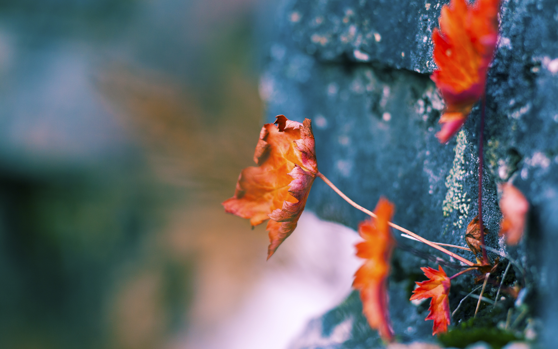 马克西爆发令比赛早无悬念，新疆队强势晋级引热议；雄鹿队赛季征程再审视