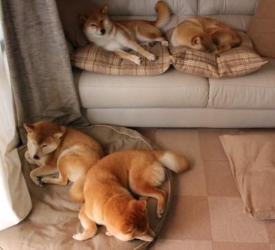 阿尔瓦雷斯，欧冠之夜的主宰者与战略家