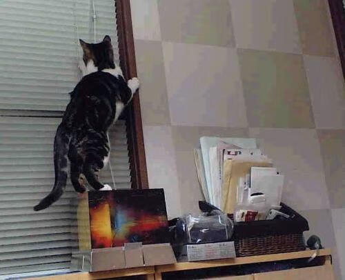 舞台越大，霍勒迪越强！湖人末节觉醒，一波流带走马刺