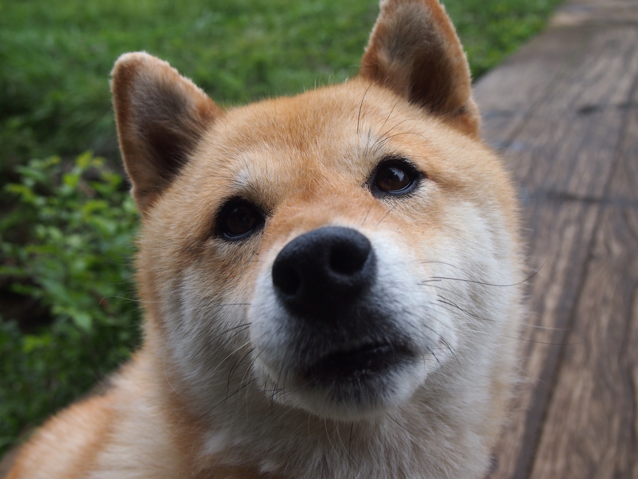 开云体育-法比尼奥导演绝杀大戏！阿尔及利亚尖刀刺穿贝蒂斯心脏