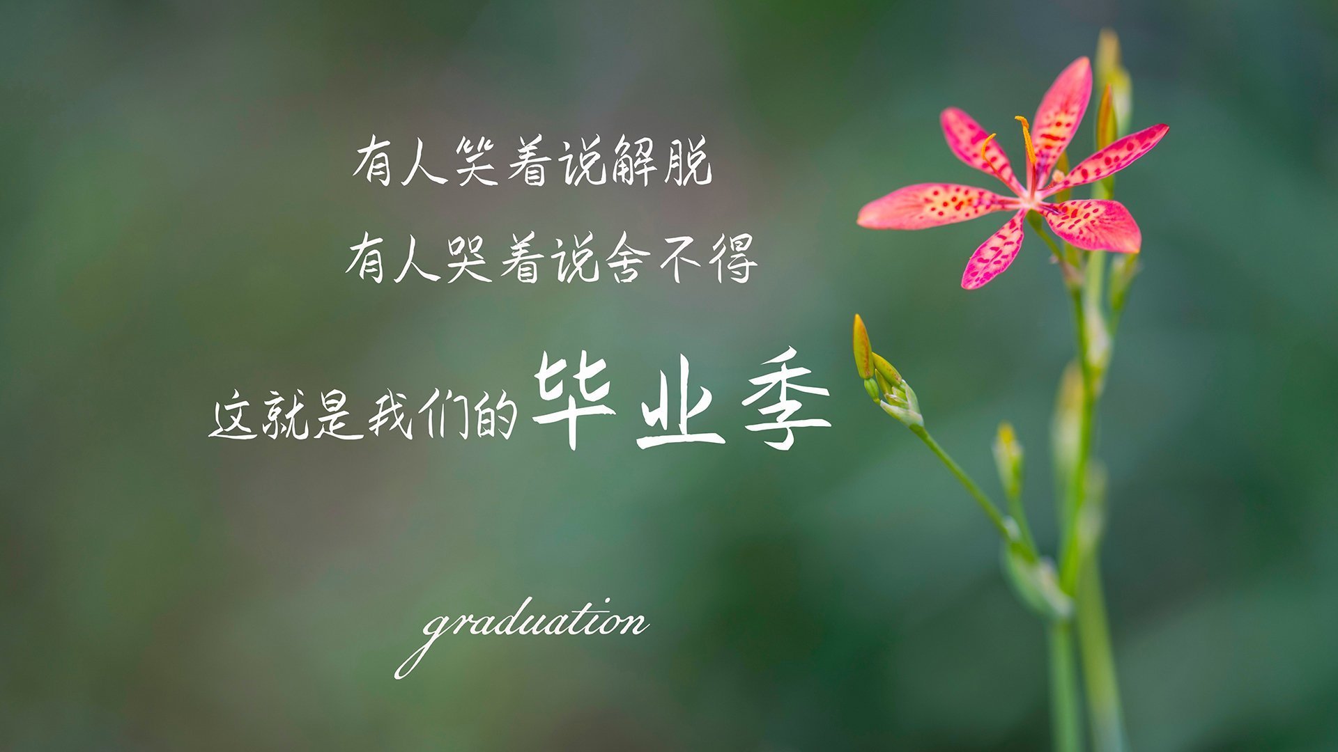 绿茵魔方,当曼联绝杀阿根廷,C罗的杀伤力穿透了次元壁