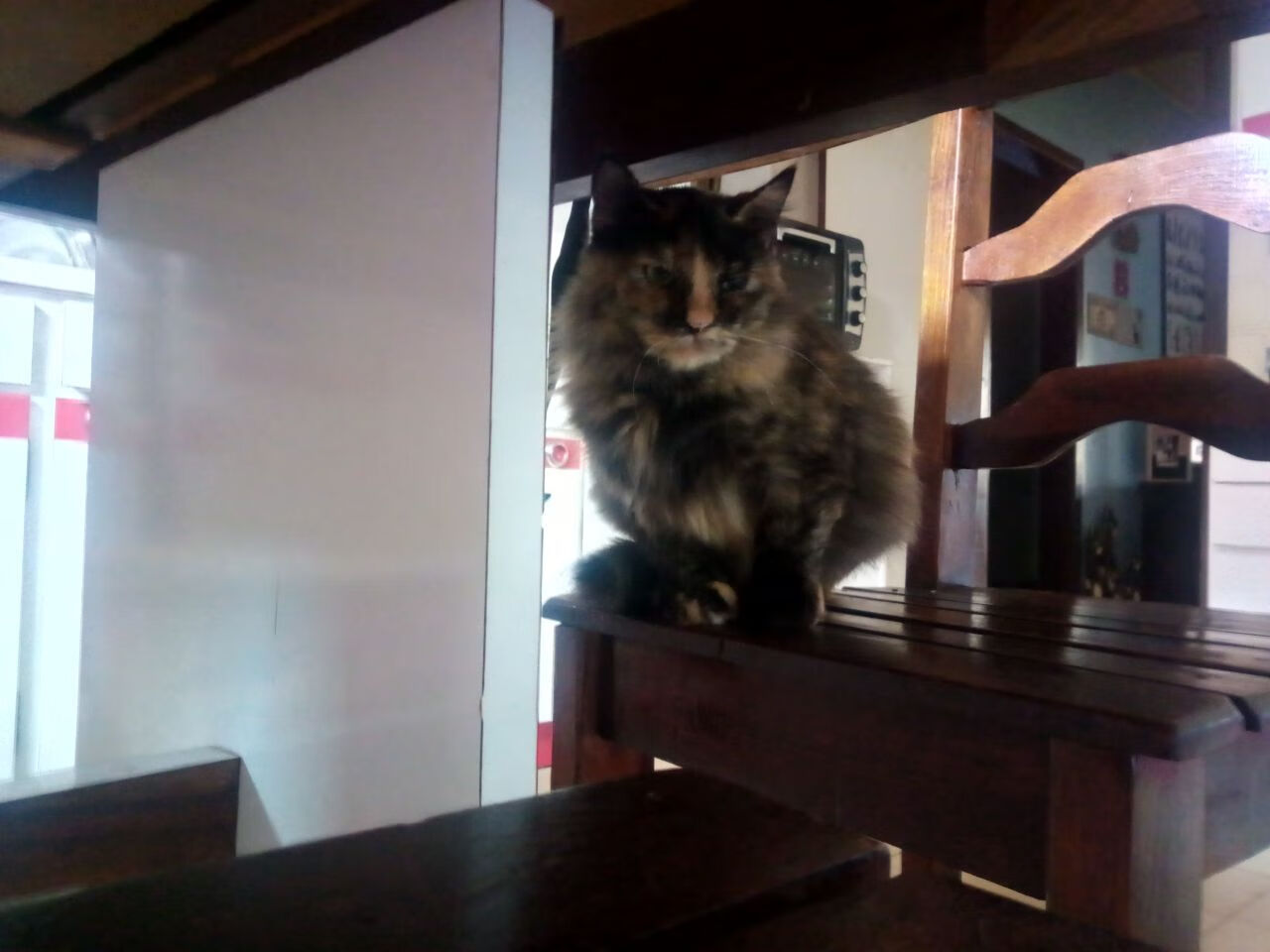 开云体育官方网站-末节风云与赛道统治，阿森纳绝杀尤文，莱奥接管F1争冠