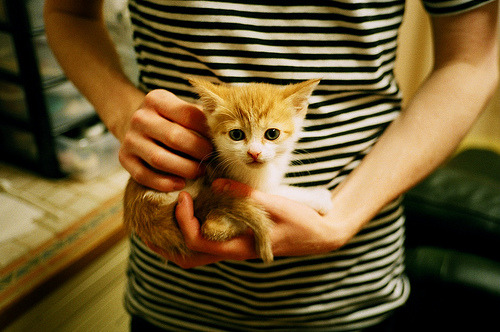 英超争冠烽火连天，塞维利亚欧战狂扫冰岛显霸气