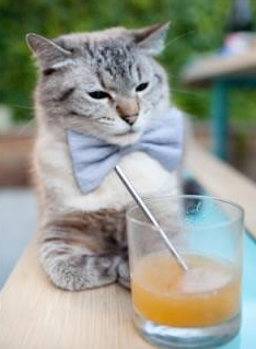 东欧魔翼撕裂阿尔卑斯防线，克瓦拉茨赫利亚一锤定音，伊朗足球书写战术革命新篇章