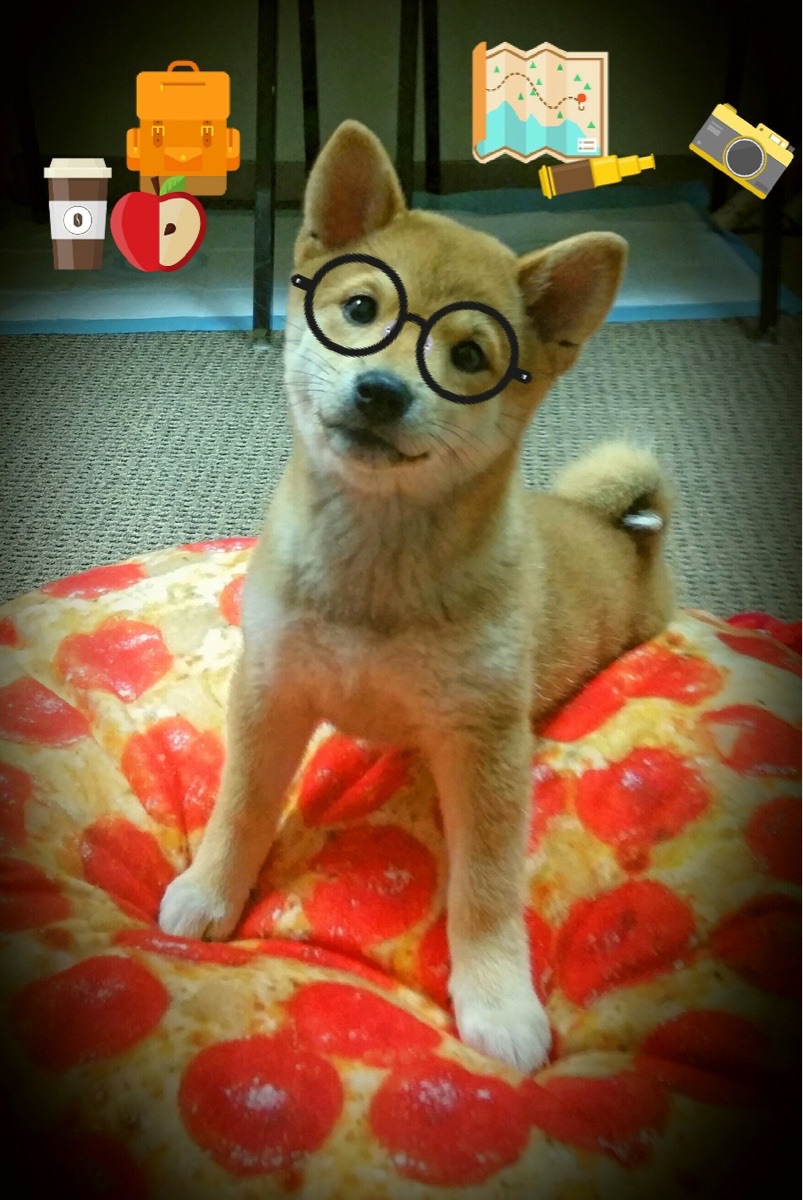 速度与冰火,卡塔尔与加拿大的角力,在F1新赛季首战炸响惊雷