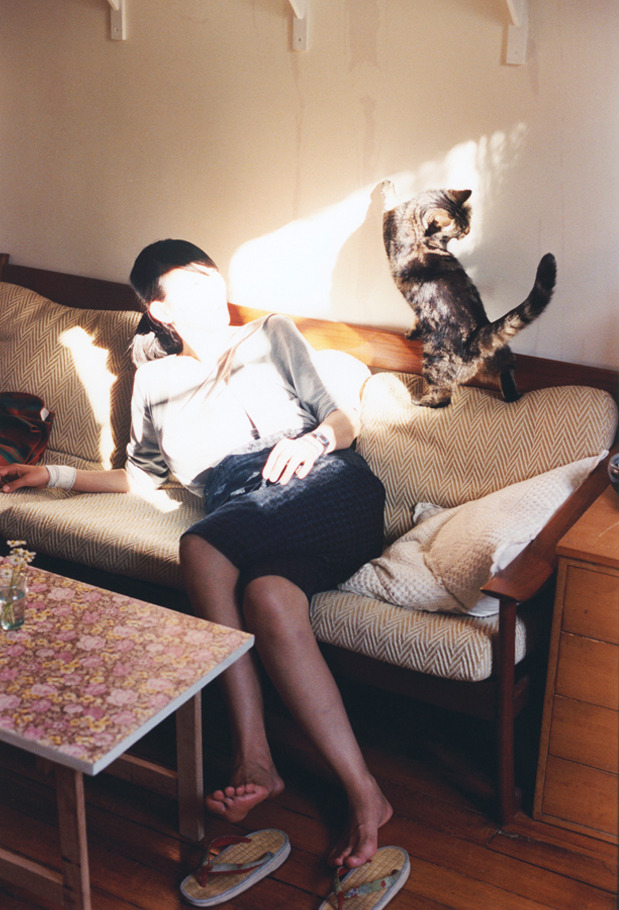 开云体育官网-当约基奇在高原升起明月，CBA的土壤下正萌发怎样的种子？