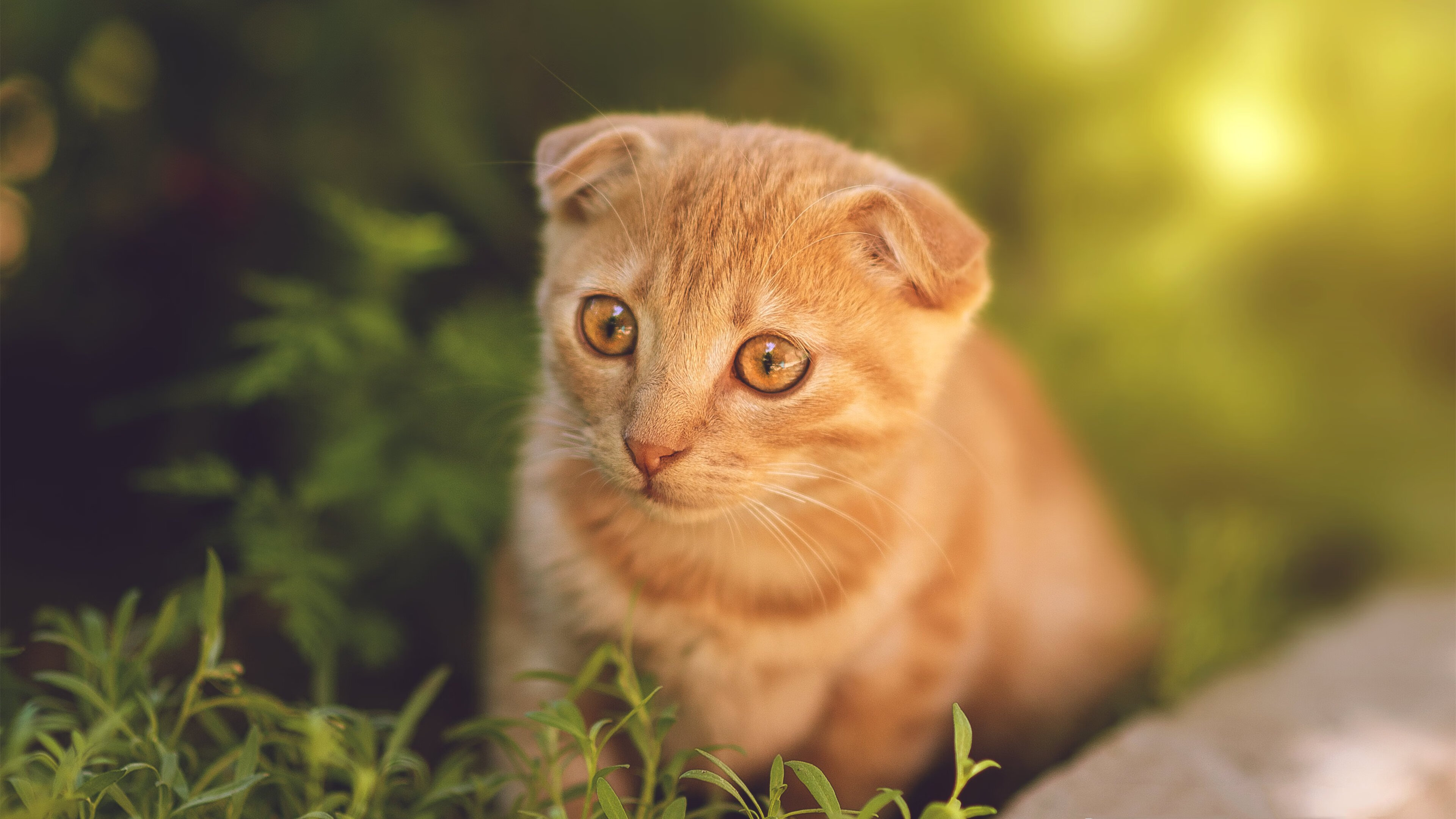摩洛哥末节逆转马竞，阿克在西甲国家德比中主宰赛场