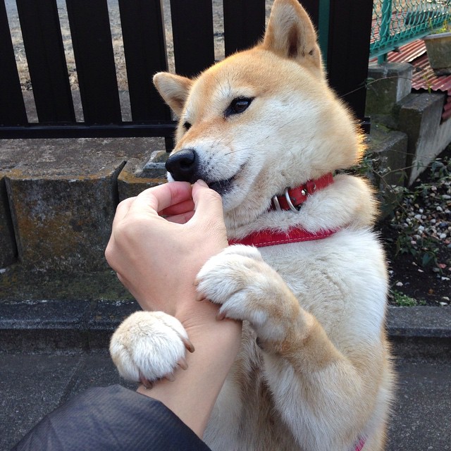 开云体育app-一人得分的交响乐，恩比德数据史诗夜，魔术用青春风暴书写团队答案