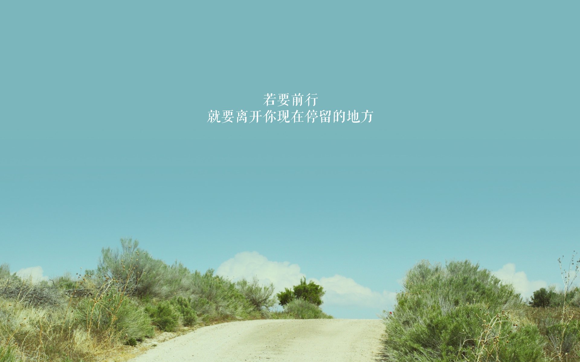-逆转！卡塔尔绝境翻盘尼日利亚，哈兰德封神之战引领世界杯争冠狂潮