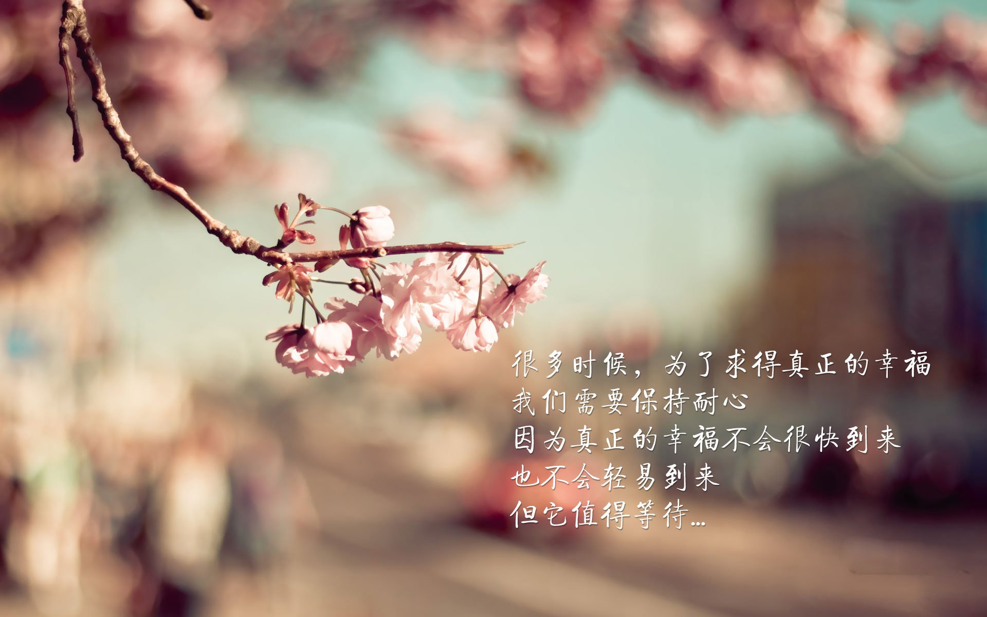 开云体育官网-绝杀之夜，2026世界杯焦点战，葡萄牙2-1逆转比利时，萨内闪耀却成悲情英雄