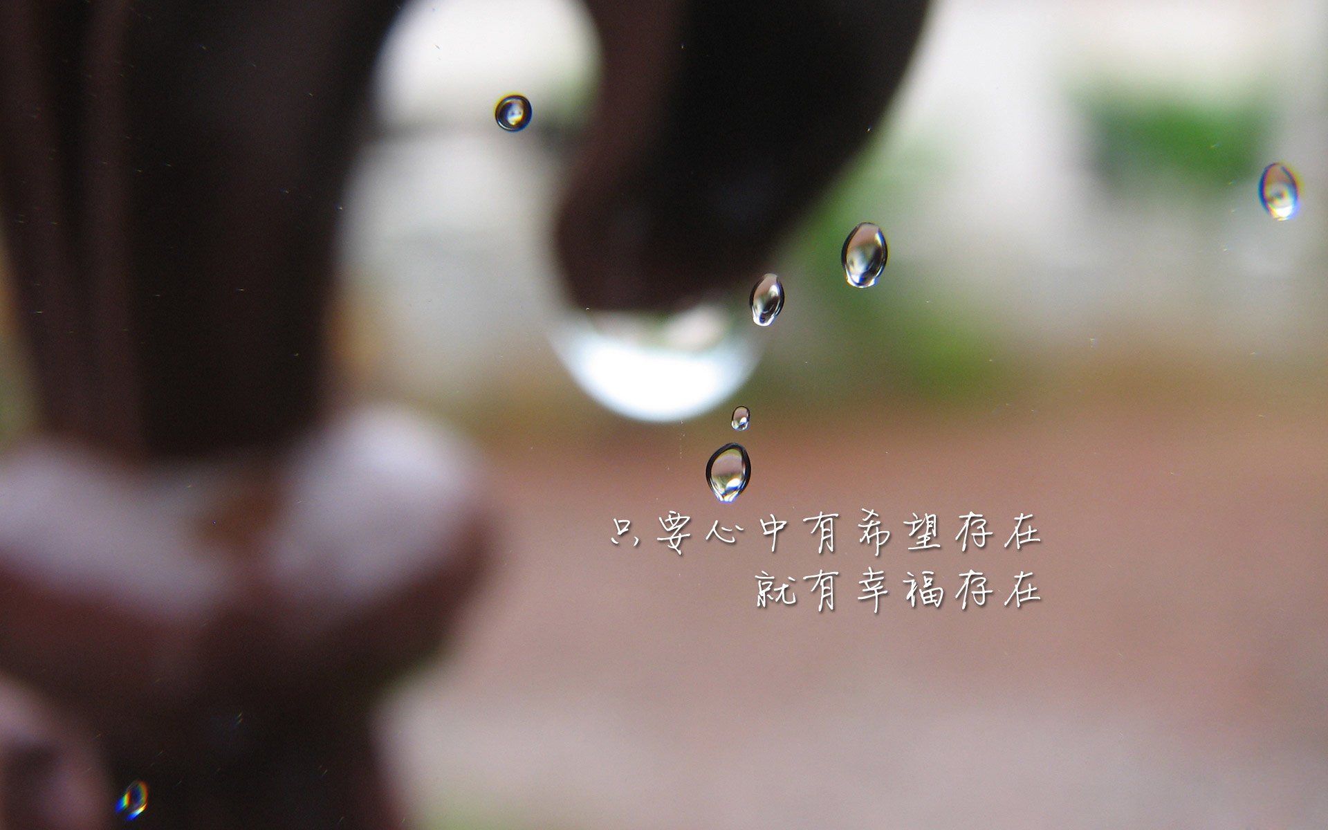 铁血防守与致命一击,2026世界杯D组韩国险胜罗马尼亚,努涅斯成最耀眼新星