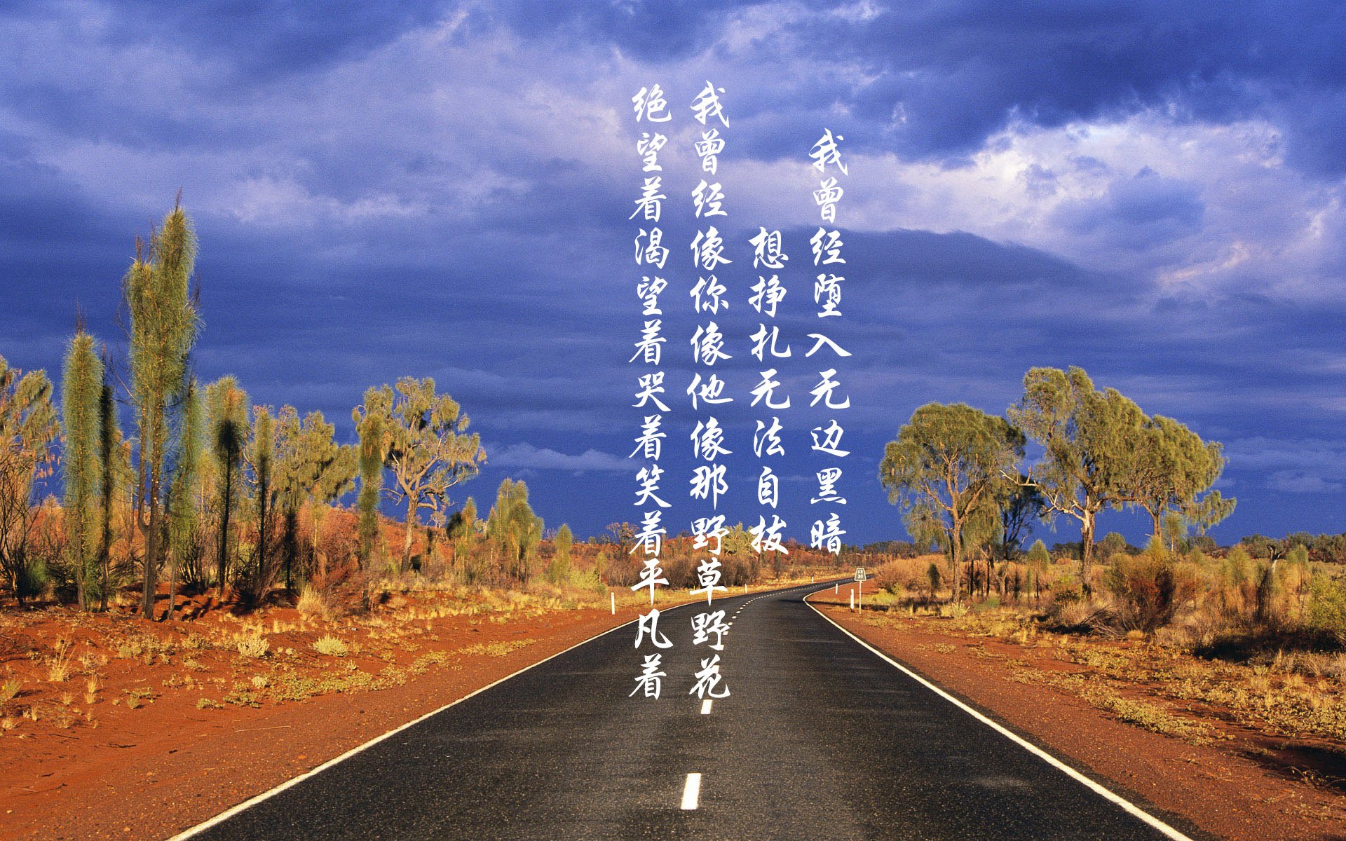 沙漠之狐的黄昏,2026世界杯巅峰对决,塔雷米率伊朗憾负墨西哥